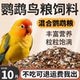 Luxury Parrot Mixed Food 5kg Pack Beautiful Feathers