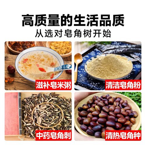 皂角树苗大刺皂角树绿化皂荚树苗盆栽庭院种植冬季药用油皂角树苗 - 图3