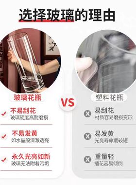 玻璃花瓶透明直筒客厅插