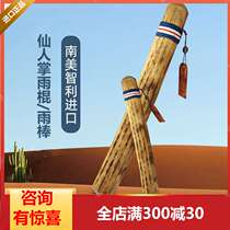 Upscale Derriterre rain stick South America Chile Rain sticks National cactus Small crowdmusical instrument soundtrack Rain sound instrumental rain