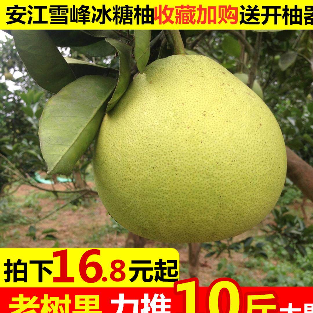 新鲜小柚子 新人首单立减十元 21年7月 淘宝海外