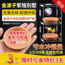 Golden Poko Breeding Disc Villa Holder Box Dogg Suspension Isolated Case Pneumatic Incubation Case Acrylic Santa Tarunrohan