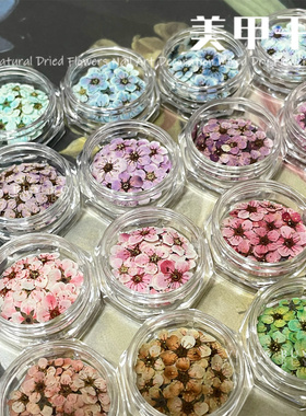 ins日式美甲干花莫奈花园迷你花
