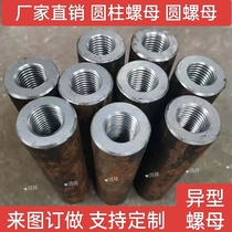 Manufacturer orders a step nut T-nut welding nut cylindrical nut profiled nut to increase nuts