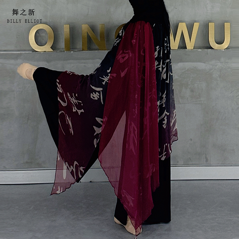 现代舞裤子垂感中国舞演出服飘逸新款舞蹈阔腿裤夏天古典舞练功服 - 图0