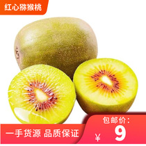 Sichuan Pujiang Red Heart goosebumps 30 pieces of kiwifruit Fruit Fresh pregnant women now remove the whole box of big fruit gift boxes