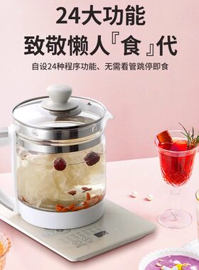 日本新款养生壶2026多功能家用全自动办公室花茶恒温壶泡茶煮茶器