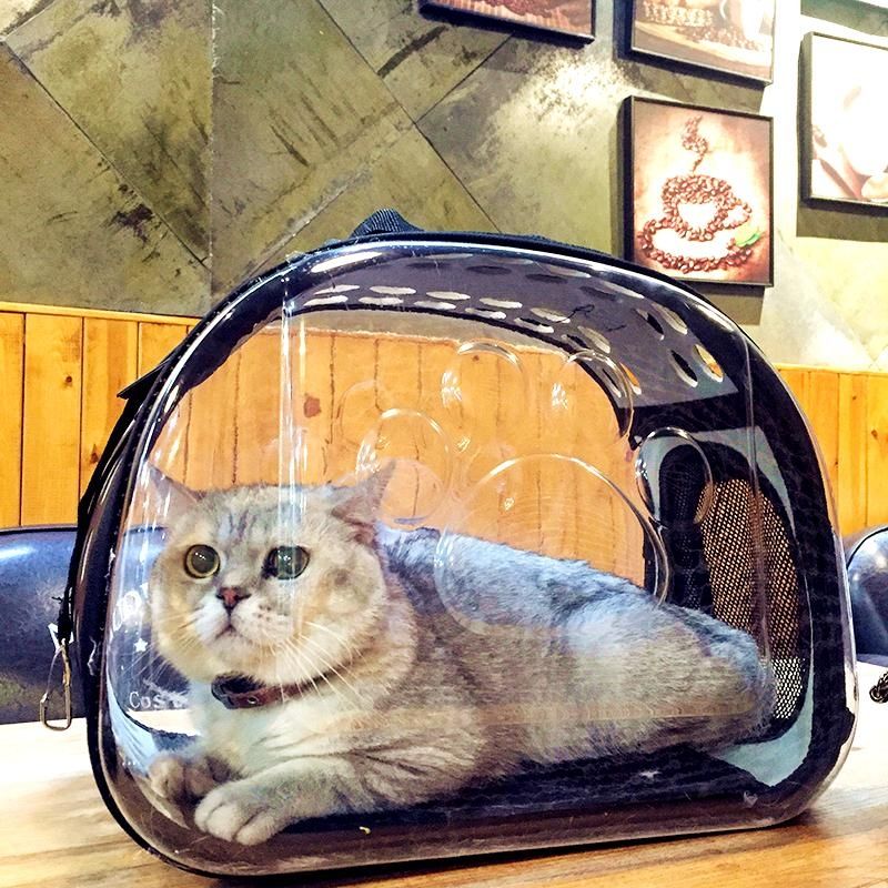 猫手袋推荐品牌 新人首单立减十元 21年6月 淘宝海外 猫手袋推荐品牌 新人首单立减十元 21年6月 淘宝海外
