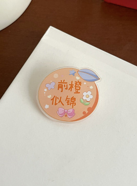 文字水果胸针新款INS可爱卡通学生包包衣服别针亚克力徽章小饰品