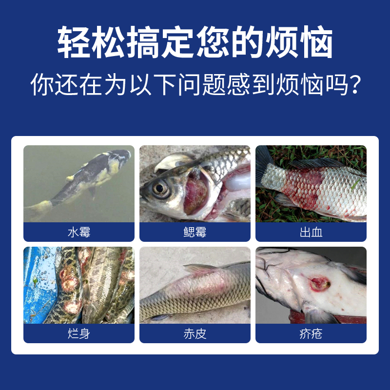 水霉病专治鱼药鱼塘消毒杀菌水产养殖白毛出血烂身硫醚沙星大蒜素 - 图3