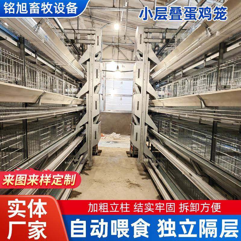 小层叠蛋鸡笼厂家框架叠式阶梯式养鸡笼畜牧养殖全自动化鸡笼,淘宝优惠券,粉丝福利购,淘宝优惠卷