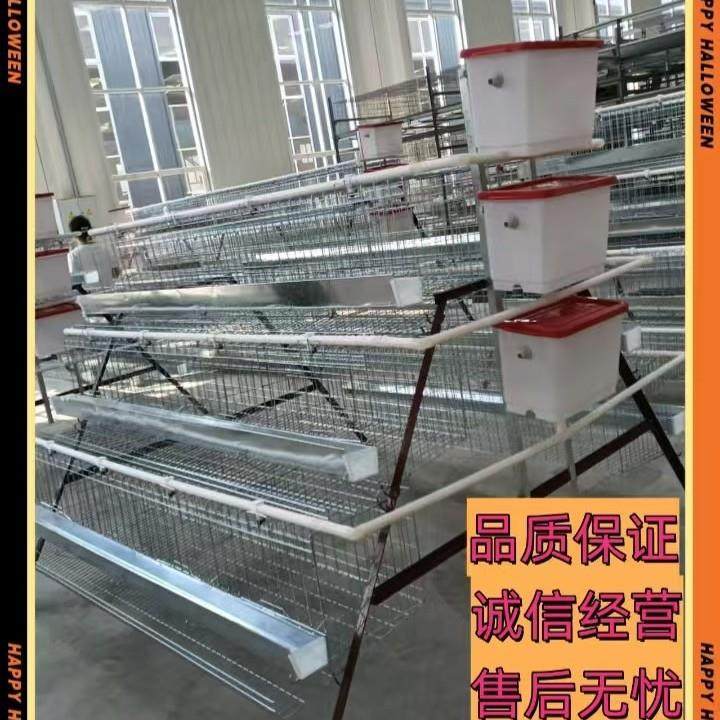 阶梯式蛋鸡笼热镀锌材质防锈耐用适配100-500羽蛋鸡带集蛋槽,淘宝优惠券,粉丝福利购,淘宝优惠卷