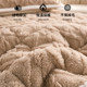 A类牛奶绒床垫褥子冬季家用软垫毛毯子加厚学生宿舍床铺垫被单人