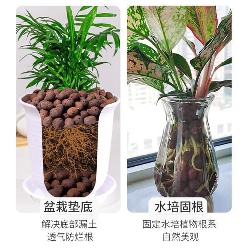 陶粒养花种花专用花盆垫底多肉花用植物铺面石轻质大号陶土粒批发 - 图3