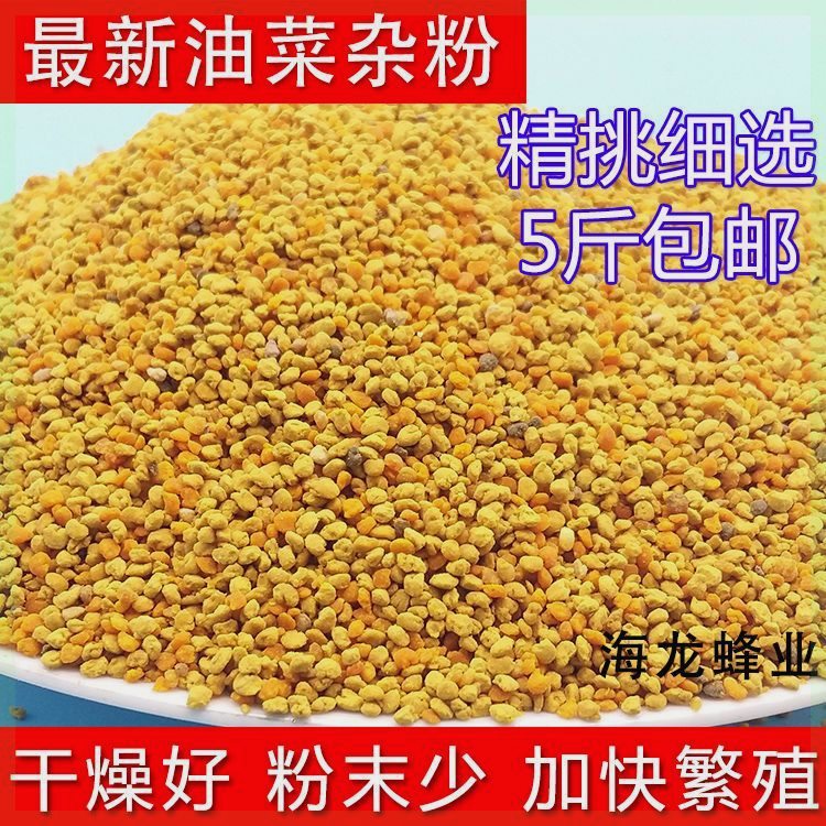 油菜花粉养蜂包邮喂蜂专用蜜蜂中蜂饲料5斤杂粉2023纯天然蜂粮