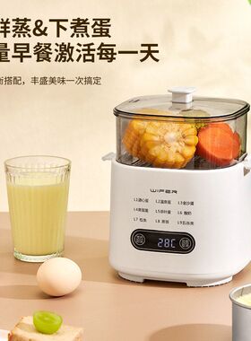煮蛋器新款自动断电煮鸡蛋神器多功能上蒸下煮早餐机家用蒸蛋器