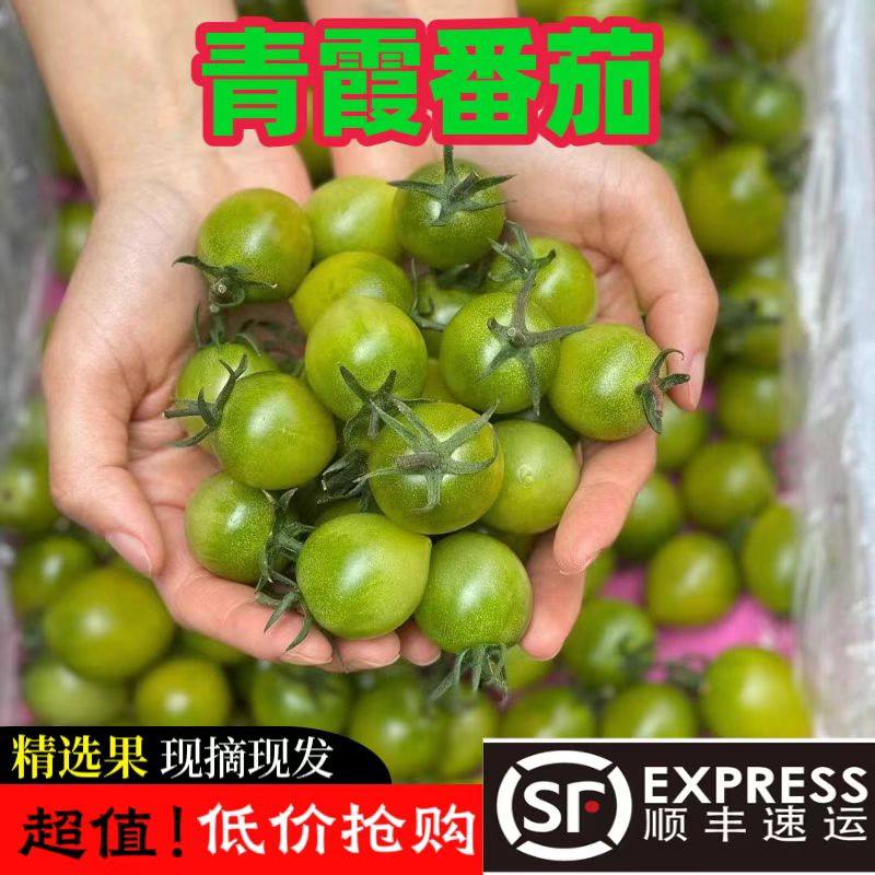 青甜2号脆甜绿色小番茄非青口蜜绿宝石圣女果小柿子顺丰包邮,淘宝优惠券,粉丝福利购,淘宝优惠卷