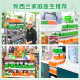 Kiwiherb New Zealand Adult Cough Lotion Throat Oral Liquid Clears and Protect the Lungs 100ml Validity Date 2027/2/16