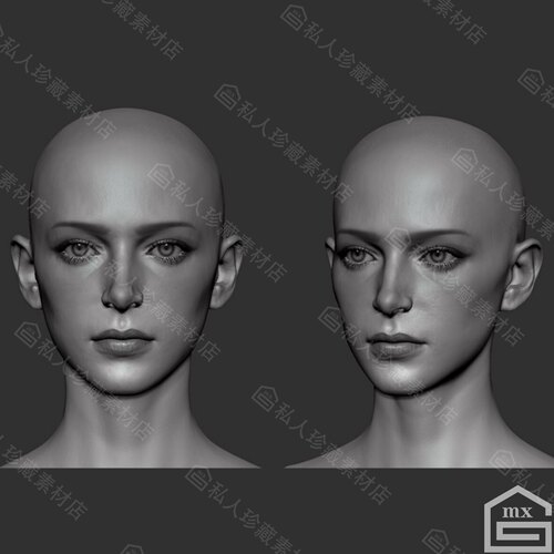 zbrush写实美女头部肖像脸部3D模型zb皮肤五官雕刻雕塑模型可打印 - 图0