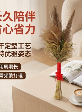混合干花束田园软装场景布置乔迁