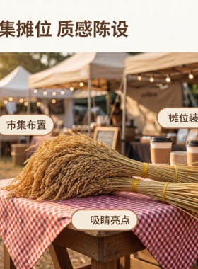 糯稻穗装饰店铺造景道具手工干花
