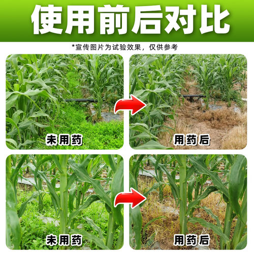 玉米苗后专用除草剂30%苯唑草酮特丁津咽烟嘧黄磺隆正品东远状元 - 图1