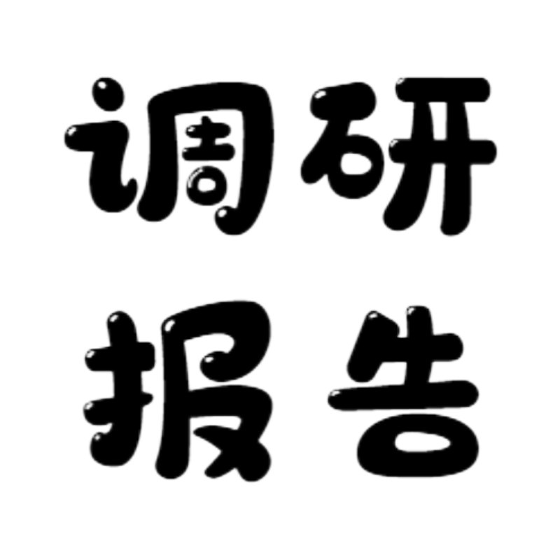 市场调研报告可行性研究代分析方案行业研报统计调查财务报表ppt-图3