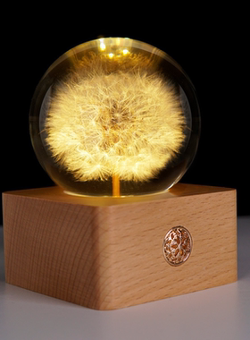 蒲公英音乐盒水晶球摆件树脂夜灯