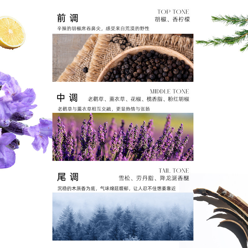 旷野男士持久淡香清新木质香调香水 TEARSTOWITCH香水