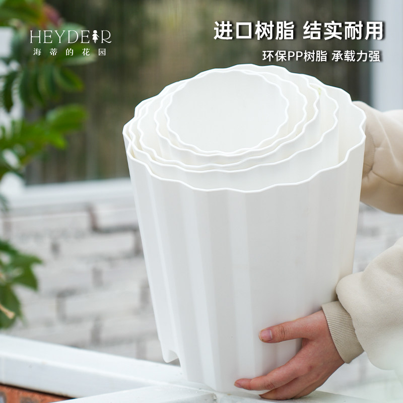 海蒂的花园旗舰店爱丽思波型花盆塑料家用花卉绿植盆栽兰花花盆,淘宝优惠券,粉丝福利购,淘宝优惠卷