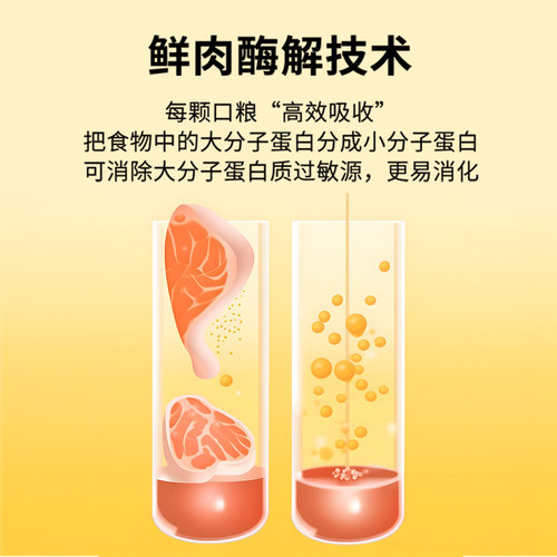 冻干狗粮成犬幼犬小型犬通用型泰迪博美比熊土狗柯基5斤10斤装 - 图1