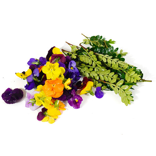 新鲜三色堇清香木胡椒木三色花蛋糕装饰饮品烘培摆盘点缀花草组合 - 图3