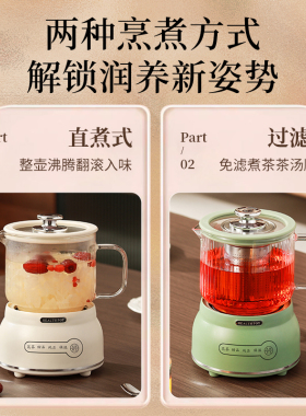 烧水壶养生壶炖煮一体家用迷你