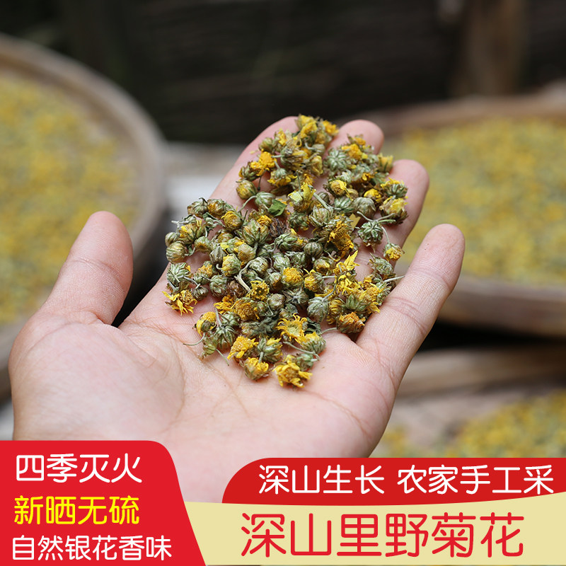野菊花正品药材深山农家晒胎菊小米菊广东凉茶泡煮水菊花茶白菊花