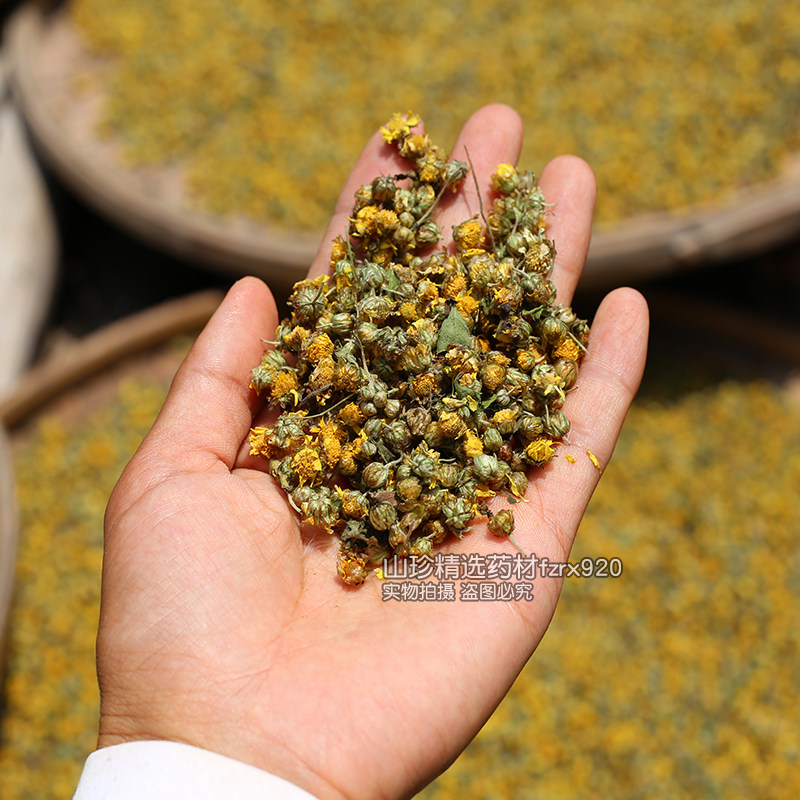 野菊花正品药材深山农家晒胎菊小米菊广东凉茶泡煮水菊花茶白菊花