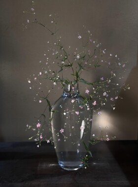 日式透明花瓶玻璃水培高硼硅禅意花器高级新中式培养器皿家居摆件