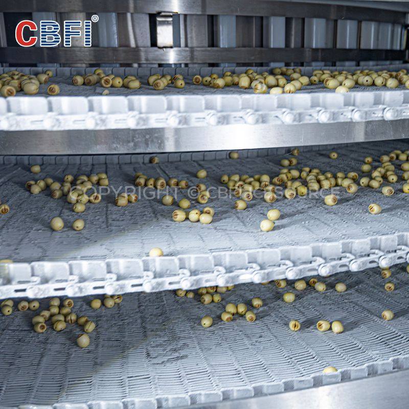 大型工业用双螺旋速冻线连续式速冻装置 高产能速冻海鲜水饺肉禽,淘宝优惠券,粉丝福利购,淘宝优惠卷