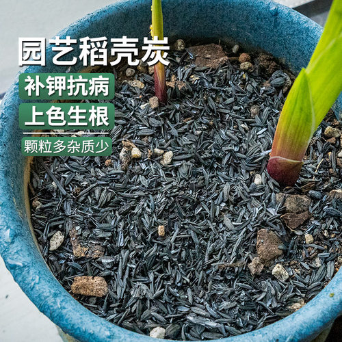 虹越花彩师纯稻壳炭稻壳谷壳5L盆栽种菜营养土有机肥料园艺稻壳碳 - 图0