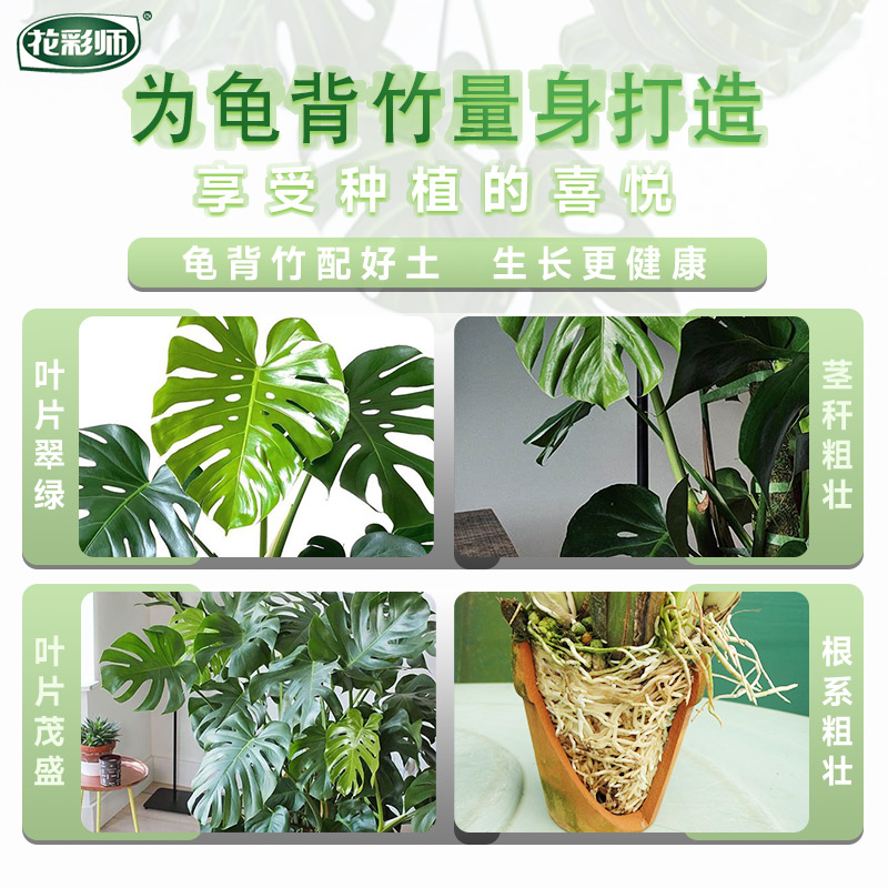 虹越花彩师龟背竹专用土粗颗粒绿植通用天南星科植物营养土盆栽 - 图2