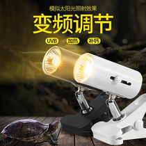 Heating Turtle back lamp uvb light full spectrum multi-angle calcium supplement to promote climbing and calcium absorption Sun O light adjustable