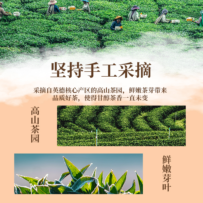 【买1送1】英红九号正品一级英德红茶浓香型散装袋装自饮茶叶150g