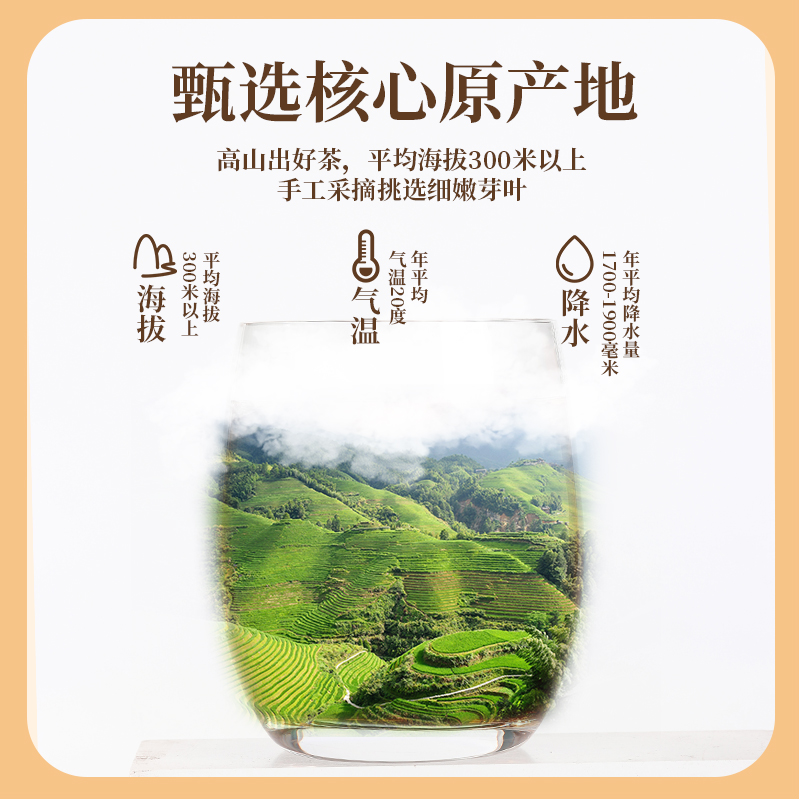 华方苑祁门红茶官方旗舰店2022新茶叶安徽浓香原产地祁红毛峰200g