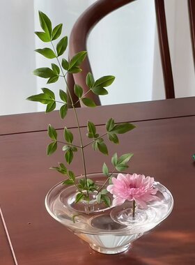 开心到转圈~漂浮插花器透明花瓶水培器皿客厅桌面艺术装饰摆件