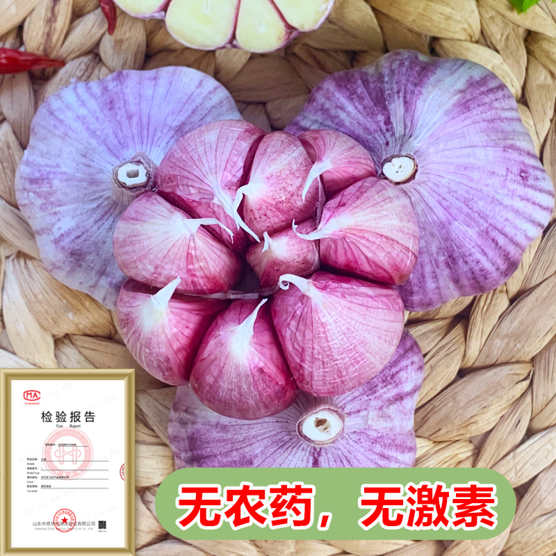 果王缘2023山东新大蒜头干蒜5斤装紫皮蒜现货新鲜金乡多瓣10农家-图0