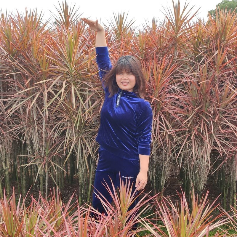 七彩铁千年木三色龙血树北欧客厅盆栽室内吸除甲醛净化空气绿植物