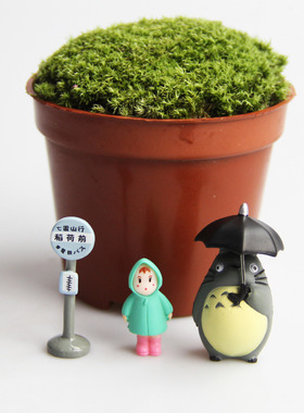 宫崎骏龙猫家里治愈系