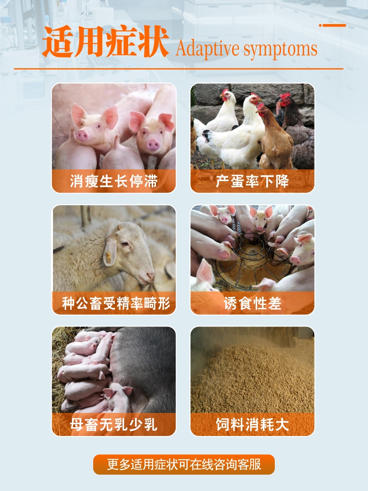 兽药增肥增胖快速长肉兽用早出栏增免蛋鸡鸭肉牛羊育肥猪兔孕畜禽-图0