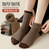 Mead Curry Curl Striped Socks Female Midbarrel Socks Thicken Garnter Warm Towels Pure Cotton Bottom Woolen Loop Long Socks