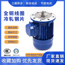 YE4 YE4 YE3 YS aluminium shell motor 0 0 18 37 0 75 75 1 5 2 2KW three-phase asynchronous motor 380V