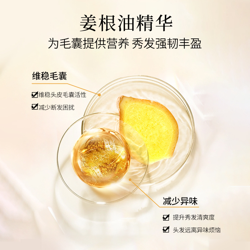 【店播专属】claynal蓬派氨基酸滋润丰盈生姜洗发水强韧秀发